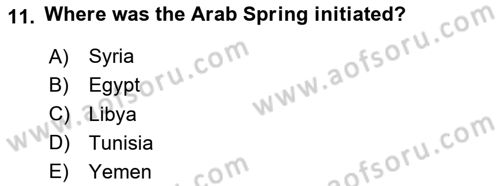 Political Science Dersi 2023 - 2024 Yılı (Final) Dönem Sonu Sınav Soruları 11. Soru