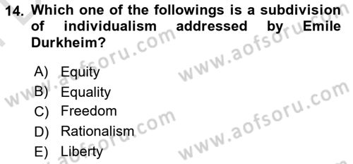 Political Science Dersi 2023 - 2024 Yılı (Final) Dönem Sonu Sınav Soruları 14. Soru