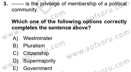 Political Science Dersi 2023 - 2024 Yılı (Final) Dönem Sonu Sınav Soruları 3. Soru