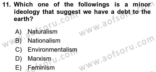 Political Science Dersi 2023 - 2024 Yılı Yaz Okulu Sınav Soruları 11. Soru
