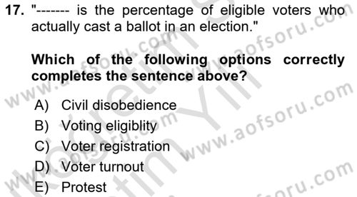 Political Science Dersi 2023 - 2024 Yılı Yaz Okulu Sınav Soruları 17. Soru