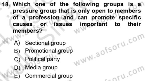 Political Science Dersi 2023 - 2024 Yılı Yaz Okulu Sınav Soruları 18. Soru