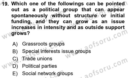 Political Science Dersi 2023 - 2024 Yılı Yaz Okulu Sınav Soruları 19. Soru