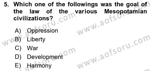 Political Science Dersi 2023 - 2024 Yılı Yaz Okulu Sınav Soruları 5. Soru