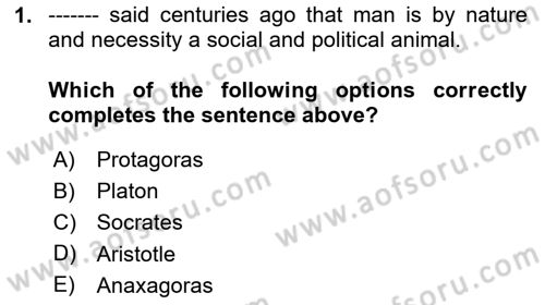 Political Science Dersi 2024 - 2025 Yılı (Vize) Ara Sınav Soruları 1. Soru