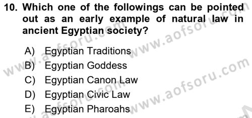 Political Science Dersi 2024 - 2025 Yılı (Vize) Ara Sınav Soruları 10. Soru