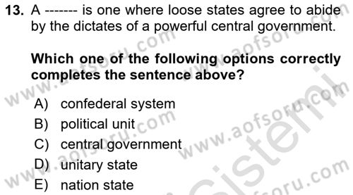 Political Science Dersi 2024 - 2025 Yılı (Vize) Ara Sınav Soruları 13. Soru