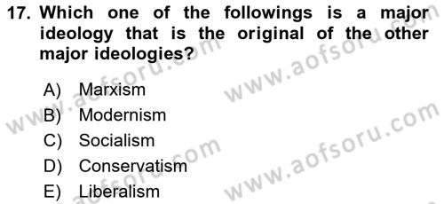 Political Science Dersi 2024 - 2025 Yılı (Vize) Ara Sınav Soruları 17. Soru