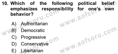 Political Science Dersi 2024 - 2025 Yılı (Final) Dönem Sonu Sınav Soruları 10. Soru