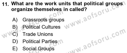 Political Science Dersi 2024 - 2025 Yılı (Final) Dönem Sonu Sınav Soruları 11. Soru