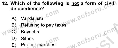 Political Science Dersi 2024 - 2025 Yılı (Final) Dönem Sonu Sınav Soruları 12. Soru