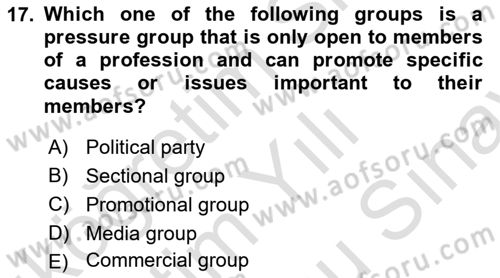 Political Science Dersi 2024 - 2025 Yılı (Final) Dönem Sonu Sınav Soruları 17. Soru