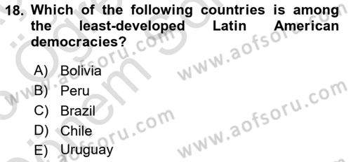 Political Science Dersi 2024 - 2025 Yılı (Final) Dönem Sonu Sınav Soruları 18. Soru