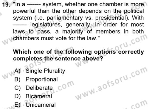 Political Science Dersi 2024 - 2025 Yılı (Final) Dönem Sonu Sınav Soruları 19. Soru