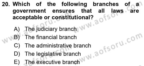 Political Science Dersi 2024 - 2025 Yılı (Final) Dönem Sonu Sınav Soruları 20. Soru