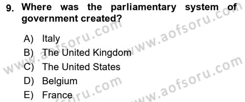 Political Science Dersi 2024 - 2025 Yılı (Final) Dönem Sonu Sınav Soruları 9. Soru