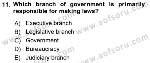 Political Science Dersi 2025 - 2026 Yılı (Vize) Ara Sınav Soruları 11. Soru