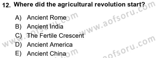 Political Science Dersi 2025 - 2026 Yılı (Vize) Ara Sınav Soruları 12. Soru