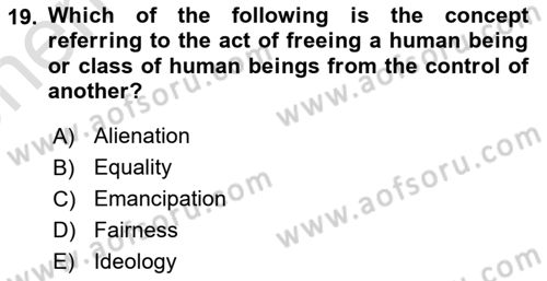 Political Science Dersi 2025 - 2026 Yılı (Vize) Ara Sınav Soruları 19. Soru