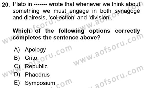 Political Science Dersi 2025 - 2026 Yılı (Vize) Ara Sınav Soruları 20. Soru