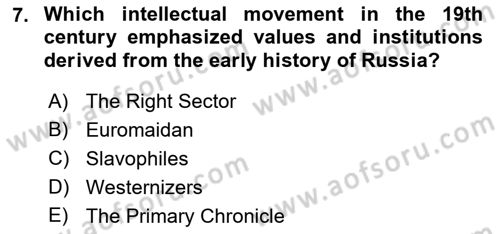 Contemporary World Civilizations Dersi 2017 - 2018 Yılı (Final) Dönem Sonu Sınav Soruları 7. Soru