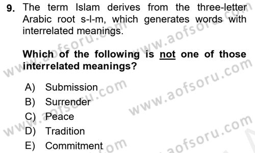 Contemporary World Civilizations Dersi 2017 - 2018 Yılı (Final) Dönem Sonu Sınav Soruları 9. Soru