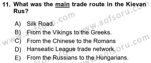 Contemporary World Civilizations Dersi 2020 - 2021 Yılı Yaz Okulu Sınav Soruları 11. Soru