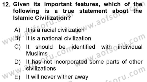 Contemporary World Civilizations Dersi 2020 - 2021 Yılı Yaz Okulu Sınav Soruları 12. Soru