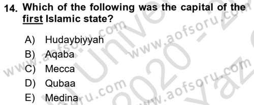 Contemporary World Civilizations Dersi 2020 - 2021 Yılı Yaz Okulu Sınav Soruları 14. Soru