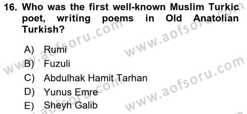 Contemporary World Civilizations Dersi 2020 - 2021 Yılı Yaz Okulu Sınav Soruları 16. Soru