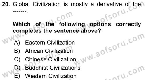 Contemporary World Civilizations Dersi 2020 - 2021 Yılı Yaz Okulu Sınav Soruları 20. Soru