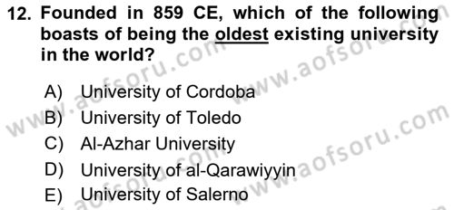 Contemporary World Civilizations Dersi 2021 - 2022 Yılı (Final) Dönem Sonu Sınav Soruları 12. Soru