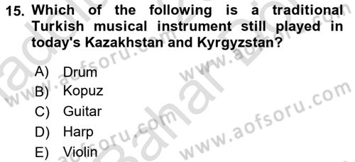 Contemporary World Civilizations Dersi 2021 - 2022 Yılı (Final) Dönem Sonu Sınav Soruları 15. Soru