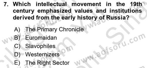 Contemporary World Civilizations Dersi 2021 - 2022 Yılı (Final) Dönem Sonu Sınav Soruları 7. Soru