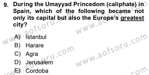 Contemporary World Civilizations Dersi 2021 - 2022 Yılı (Final) Dönem Sonu Sınav Soruları 9. Soru