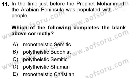 Contemporary World Civilizations Dersi 2021 - 2022 Yılı Yaz Okulu Sınav Soruları 11. Soru