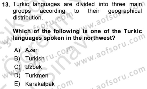 Contemporary World Civilizations Dersi 2021 - 2022 Yılı Yaz Okulu Sınav Soruları 13. Soru
