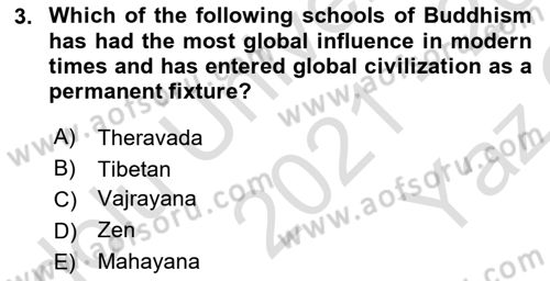 Contemporary World Civilizations Dersi 2021 - 2022 Yılı Yaz Okulu Sınav Soruları 3. Soru