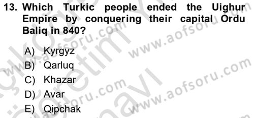 Contemporary World Civilizations Dersi 2022 - 2023 Yılı Yaz Okulu Sınav Soruları 13. Soru