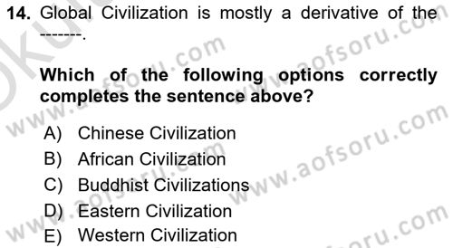 Contemporary World Civilizations Dersi 2022 - 2023 Yılı Yaz Okulu Sınav Soruları 14. Soru