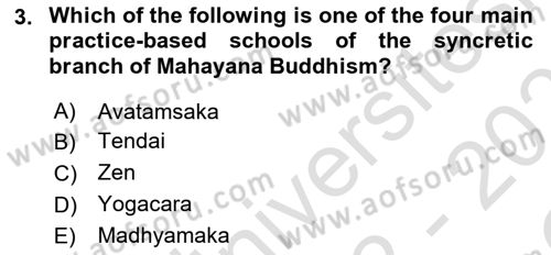 Contemporary World Civilizations Dersi 2022 - 2023 Yılı Yaz Okulu Sınav Soruları 3. Soru