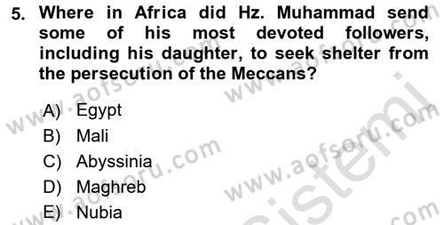Contemporary World Civilizations Dersi 2022 - 2023 Yılı Yaz Okulu Sınav Soruları 5. Soru