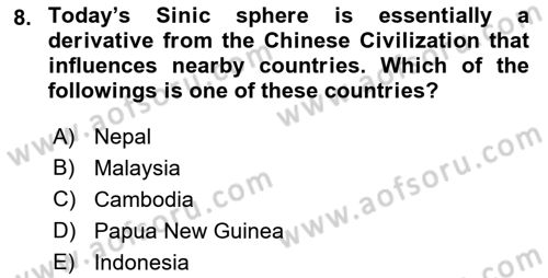 Contemporary World Civilizations Dersi 2022 - 2023 Yılı Yaz Okulu Sınav Soruları 8. Soru