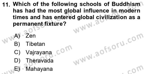 Contemporary World Civilizations Dersi 2023 - 2024 Yılı (Vize) Ara Sınav Soruları 11. Soru