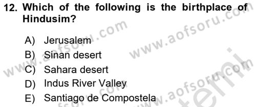 Contemporary World Civilizations Dersi 2023 - 2024 Yılı (Vize) Ara Sınav Soruları 12. Soru