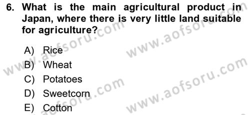 Contemporary World Civilizations Dersi 2023 - 2024 Yılı (Vize) Ara Sınav Soruları 6. Soru