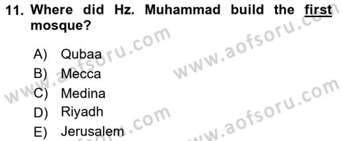 Contemporary World Civilizations Dersi 2023 - 2024 Yılı (Final) Dönem Sonu Sınav Soruları 11. Soru