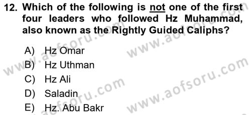 Contemporary World Civilizations Dersi 2023 - 2024 Yılı (Final) Dönem Sonu Sınav Soruları 12. Soru