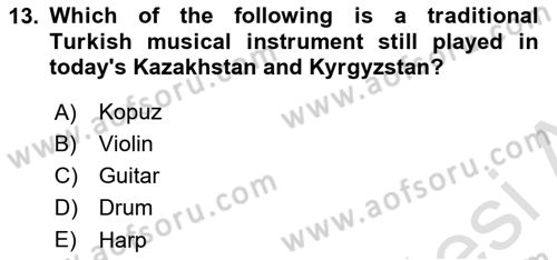 Contemporary World Civilizations Dersi 2023 - 2024 Yılı (Final) Dönem Sonu Sınav Soruları 13. Soru