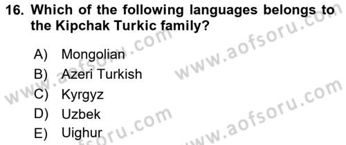 Contemporary World Civilizations Dersi 2023 - 2024 Yılı (Final) Dönem Sonu Sınav Soruları 16. Soru